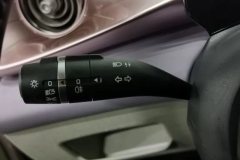 2022 BYD Dolphin 2021 401km knightEdition #24