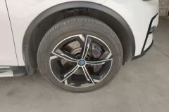 2020 BYD Tang PHEV 2021 2.0T AT DM 4WDHigh PerformanceHonor #6