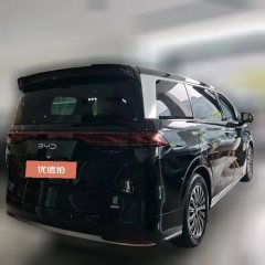 2025 BYD Xia 2025 DM-i 1.5T AT 180km excellence #3