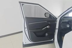 2024 GAC Trumpchi Trumpchi Yingku 2022 2.0ATK AT GeminiEdition #7