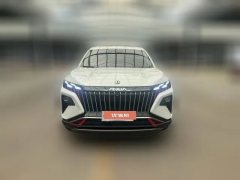 2024 Dongfeng Fengshen Haoji 2024 Mach Power 1.5T Premium #2
