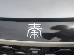 2025 BYD Qin Plus 2025 DM-i Smart Drive 55KMLeading #14