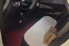 2023 BYD Dolphin 2023 420km Fashion #11