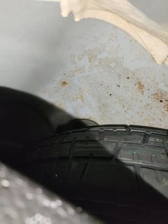 Spare Tire Well (Trunk Floor)