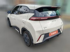 2025 BYD Seagull 2024 Glory 305km vitalityEdition #7