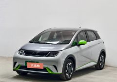 2022 BYD Dolphin 2021 405km Fashion #1