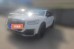 2020 Audi Q2L 2020 1.4T AT 35TFSIEnterprisingDynamic #1