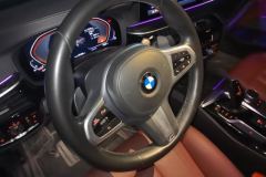 2020 BMW 5 Series 2020 2.0T AT 530LiLeadingLuxury Pkg #15