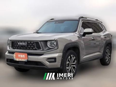2024 Haval Big Dog Plus 2023 2.0T AT 2WDShionoEditionPlus