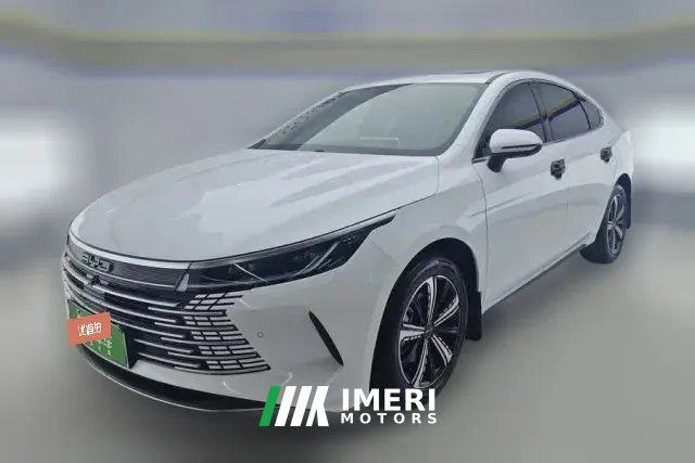2024 BYD Destroyer 05 2023 Champion 1.5L AT DM-i 120KM Honor