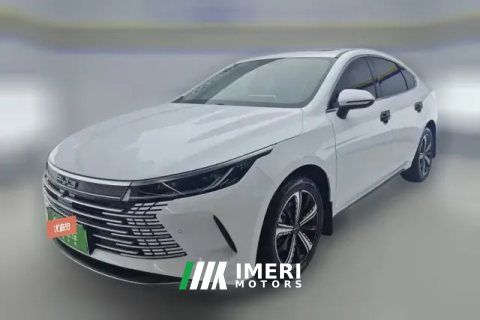 2024 BYD Destroyer 05 2023 Champion 1.5L AT DM-i 120KM Honor
