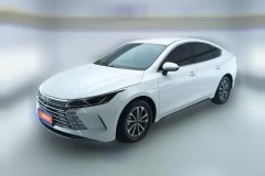 2024 BYD Destroyer 05 2024 Glory 1.5L AT DM-i 55KM Luxury #1