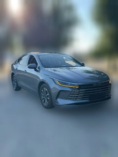 2024 BYD Destroyer 05 2024 DM-i 55KM PilotGlory #3