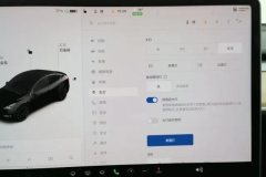 2021 Tesla Model Y 2021StandardBattery lifeRWDEdition #24