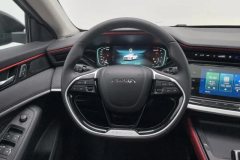 2023 Dongfeng Fengshen Yixuan MAX 2021 1.5T AT SuperTrendy DadEdition #15