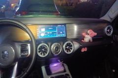 2023 Tank 300 2023 CityEdition 2.0T AT Very #13
