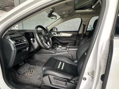 2019 BYD Qin Pro 2019 1.5T AT DMSuper PowerSmart ConnectPowerstill China V #11