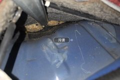 Right Rear Carpet