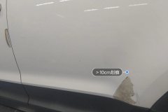 Лев. Задн. дверь