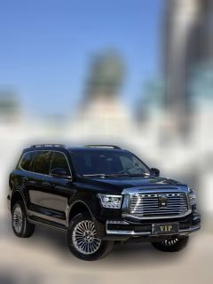 2024 Tank 500 PHEV 2024 Hi4-T 2.0T AT #9