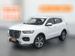 2020 Haval H6 2021 1.5T AT Champion #1