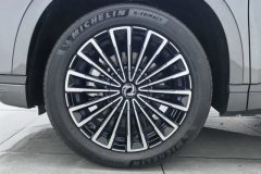 2025 Dongfeng Fengshen Dongfeng Fengshen L8 2025 185KMdreamEdition #6