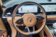 2023 Voyah Dreamer 2024 1.5T AT PHEV SuperLong RangePremium #15