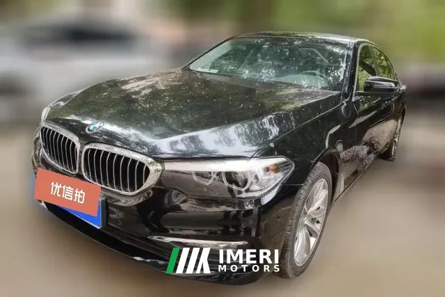 2018 BMW 5 Series 2018 2.0T AT 528LiLaunch Special