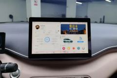2024 BYD Seagull 2025 305km freeEdition #13
