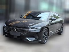2024 Voyah Zhuiguang 2024 PHEV 4WDSuperLong RangeExecutive #2