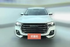 2022 Haval H6 2021 1.5T AT China tideChampion #2