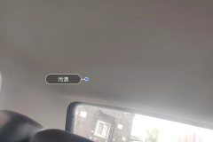 Roof Lining