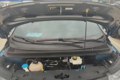 2022 BYD Dolphin 2021 401km knightEdition #10