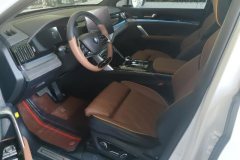 2023 BYD Tang PHEV 2021 1.5T AT DM-i 112KM Honor #9