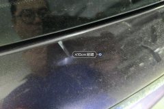 Trunk Lid