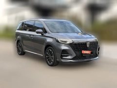 2022 Roewe iMAX8 2022 2.0T AT 400TGI GatheringEdition #3