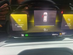 2021 Volkswagen Golf 2021 AT 280TSI DSG 30Anniversary #10
