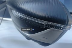 Left Exterior Mirror