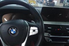 2021 BMW 5 Series 2021 2.0T AT 530LiLeadingLuxury Pkg #13