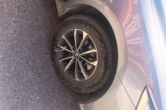 2024 BYD Qin Plus 2024 Glory 1.5L AT DM-i 55KMLeading #6