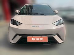 2024 BYD Seagull 2023 vitalityEdition #2