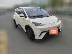 2025 BYD Seagull 2024 Glory 305km vitalityEdition #3