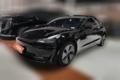 2022 Tesla Model 3 2022 rear wheel driveEdition #1