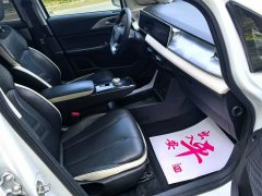 2022 Geometry E Firefly 2022 401KM Exquisite Tiger 4Seat #8
