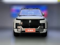2023 Yangwang U8 2023 Luxury #2