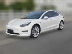 2020 Tesla Model 3 2020 StandardBattery lifeRWDUpgradeEdition #1