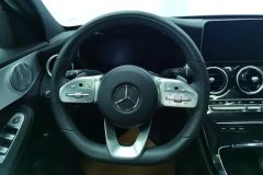 2021 Mercedes-Benz C-Class 2021 1.5T AT C260star shineCollector #15