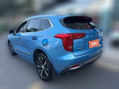 2021 Haval Chulian 2021 1.5T ATLarge3Edition #4