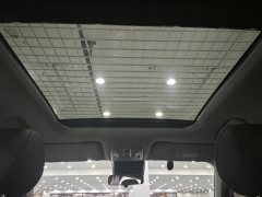 2023 GAC Trumpchi Trumpchi GS4 Plus 2023 2.0T AT 390T nebulaEdition #16