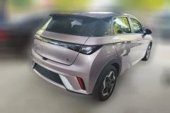 2022 BYD Dolphin 2021 405km Fashion #3